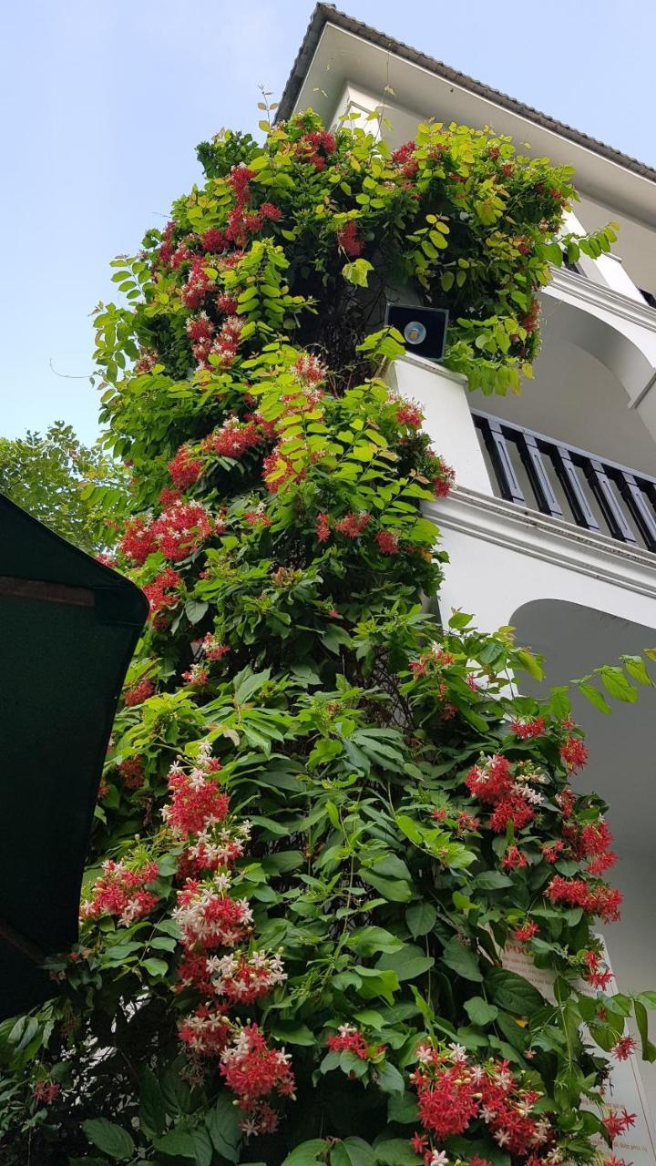Hoi An Osaka Boutique Villa Exterior foto